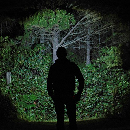 LED Headlamp Flashlight [3AA Batteries Included] Magnifying Lens, Head