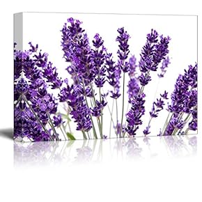 Macro View of Lavender Over White Background Beautiful Floral Flower Photograph - Canvas Art Wall Art - 12" x 18"
