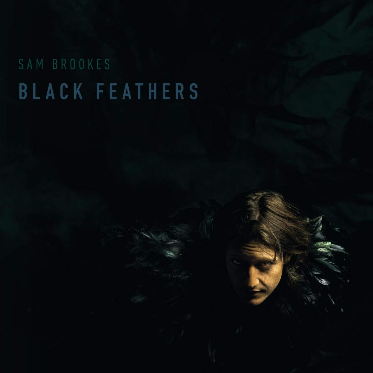 Black Feathers (LP) [VINYL]