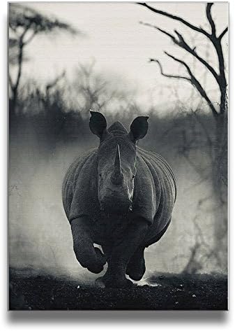 SYjhl Wall Art Painting Rhinoceros Giclee Modern Canva Wall Pictures For Room Home Decor,16"W20"H
