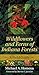 Wildflowers and Ferns of Indiana Forests: A Field Guide (Indiana Natural Science) primary