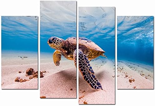 Levvarts Canvas Prints Wall Art Green Sea Turtle Cruises In Warm Waters Of The Pacific Ocean In Hawaii Picture Modern Home Wall Decor Stretched Gallery Canvas Wrap Underwater Ocean Giclee Print