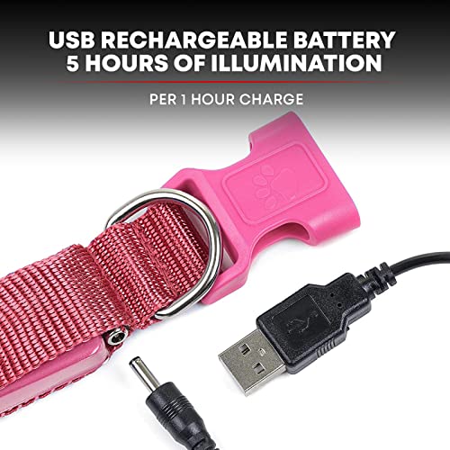 ILLUMISEEN LED Light Up Dog Leash Ultra High Visibility Up to 350