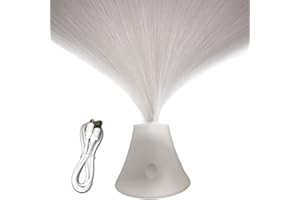DGLIANYA Touch Button Fiber Optic Lamp LED Warm White Color Changing Mood Lights USB Operated Rechargeable Night Light for Home Decoration Wedding Party Gift