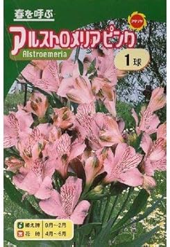 すべての花の画像 上アルストロメリア 球根 植え方