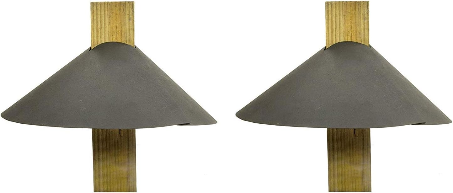 Amazon Com Achla Designs Squirrel Deflector For 4 By 4 Post