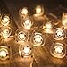 VSL#3 Battery Operated String Lights Cat 20 Count with Timer 6 Hour On and Auto Shut-Off Timer Control 8 Feet LED Christmas Lights Outdoor for Anniversary Wedding Birthday Party(CAT)