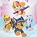 Paw Patrol Girls' Swimsuit Skye, Rubble, Chase, Everest One Piece Bathing Suit for Kids Multicolored 5