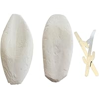 Natural Cuttlefish Bone for Reptiles, Tortoises, Snails, Birds and Small Animals, Twin Pack，(4-5 inch)