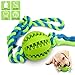 CHLEBEM Puppy Toys Interactive Dog Toys Balls for Small Medium Dogs Chew Teething Teeth Cleaning Treat Dispensing Durable Rubber Ball Dog Rope Toy for Tug of War Playing(Green)