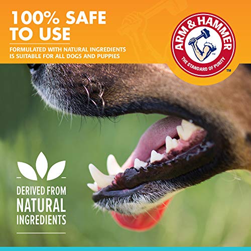 Arm & Hammer for Pets Dental Enzymatic Toothpaste for Dogs No More