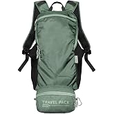 ChicoBag Travel Pack rePETe + Refine | Eco-friendly Lightweight and Packable Travel Backpack (Sage)