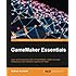 GameMaker Essentials