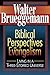 Biblical Perspectives on Evangelism: Living in a Three-Storied Universe by Walter Brueggemann