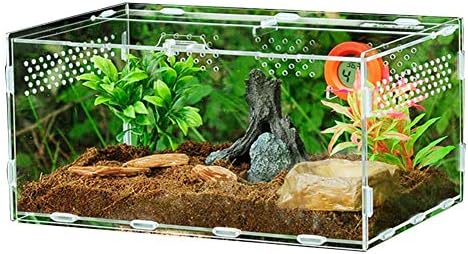 reptile travel carrier