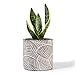POTEY Cement Plant Pots Concrete Flower Planters Medium Pot with Drain Hole Leaf Cylind Bronze