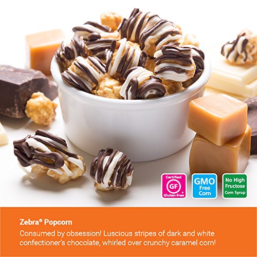 Popcornopolis Gourmet Zebra Popcorn, 11 Ounce Bags, Pack of 6 Pricepulse