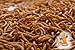 5Lb Chubby Dried Mealworms High Protein Treat for Chickens, Ducks & Birds