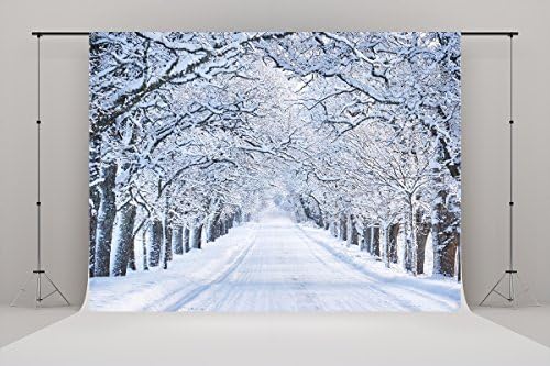7X5ft (220cmX150cm)Winter Backdrops Branches with Snow Nature Forest Christmas Photography Background for Studio