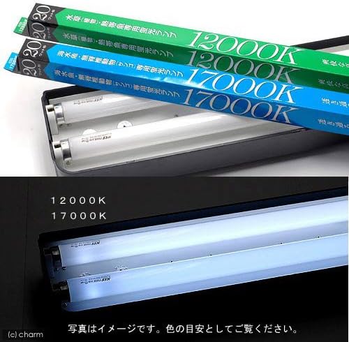 Amazon 交換球 水草 植物 熱帯魚専用蛍光ランプ 100k w 2本セット水槽用照明 ライト ライト 照明 通販 Amazon 交換球 水草 植物 熱帯魚専用蛍光ランプ 100k w 2本セット水槽用照明 ライト ライト 照明 通販