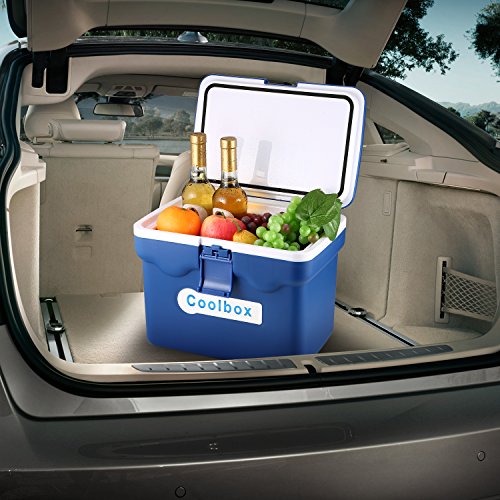 10Quart Cooler, Ice Chest Cooler for Portable Car Cooler Box Organizer