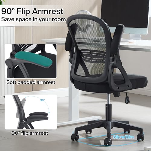 Fizzin Ergonomic Office Chair, Home Desk Chair, Adjustable Lumbar Support and Padded Seat, Breathable Mesh Computer Chair with Reversible Padded Armrests, Home Office Chair (Black)