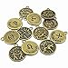 LolliBeads (TM Jewelry Making Antique Brass Bronze Vintage Style Round Charm Zodiac Set of 12