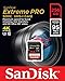 SanDisk Extreme PRO 256GB up to 95MB/s UHS-I/U3 SDXC Flash Memory Card - SDSDXPA-256G-G46