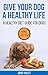 Give Your Dog a Healthy Life: A Healthy Diet Guide for Dogs by JIMMY HULLET