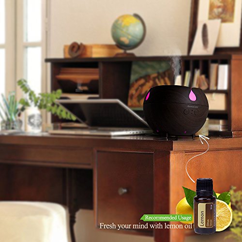 Large Aroma Globe Essential Oil Diffuser with Water 600ML