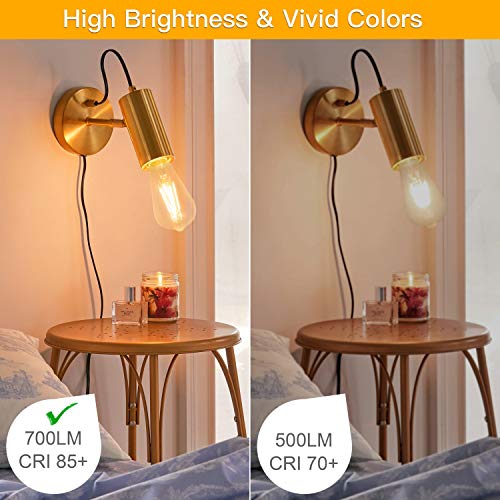Vintage LED Edison Bulbs 6W, 60W Equivalent, Non-Dimmable 2700K Warm White, High Brightness E26 LED Light Bulb, ST64 LED Filament Light Bulb (10 Pack)