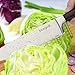 Chef Knife, beegod Pro 8-Inch Stainless-Steel Chef's Knife for Professional Chef for Easy Hand-held