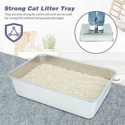 Stainless Steel Cat Litter Box - Large Litter Box for Big Cats - Easy to Clean, Never Absorbs Odor, Stains, or Rusts - Silver (17.7" L x 13.5" W x 6" H)