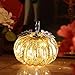 denlix Mercury Glass Pumpkin Lights 5.5 Inches Timer Pumpkins Decorations Tables Centerpieces Decorative Fall Decor