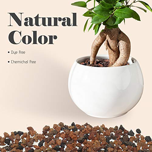 Bonsai Jack Red/Maroon 1/4 inch Horticultural Lava Rock Soil Additive