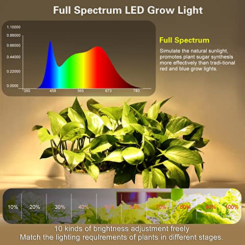 Grow Light Strip，Full Spectrum Grow Lights for Indoor Plants ，with Auto ON / Off Timer，with White Red 120 LEDs / 10 Dimmable Levels，Sunlike Grow Lamp for Hydroponics Succulent（6.56FT）