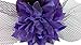 Coolr Women's Fascinator Flower Hair Clip Feather Burlesque Punk Mini Hat Purple