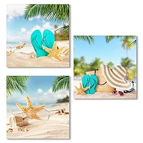 3 Piece Canvas Wall Art for Living Room, Bedroom Seashell Starfish on Beach Canvas Prints for Home Decoration Ready to Hang - 12"x12"x3 Panels