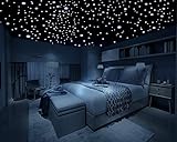 Firefly Realistic 3D Domed Glow in the Dark Stars (600 stars)