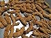 Indus Organics Turmeric (Curcumin) 1 Lb,Refill Bag, Premium Grade, High Purity, Freshly Packed