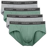 David Archy Men's 4 Pack Bamboo Fibre Light Weight Pouch Briefs (XL,Green/Gray)