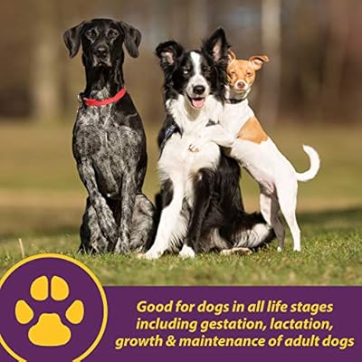 canine red cell supplement for dogs