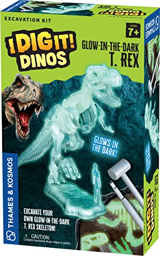 Thames & Kosmos I Dig It Dinos-Glow-in-the-Dark T. Rex Excavation Kit Science Experiment