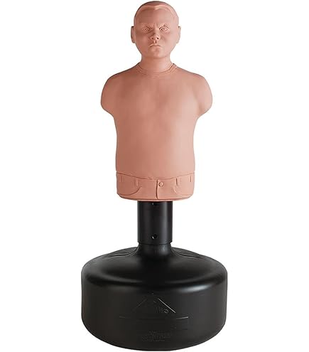 best heavy bag for home gym