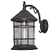 ETOPLIGHTING Bella Luce Collection Exterior Outdoor Wall Lantern, Oil Rubbed Rust Body Finish Clear Seeded Glass APL1016
