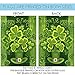 Toland Home Garden 102577 Shamrockin' St Patricks Day Flag 28x40 Inch Double Sided St Patricks Day Garden Flag for Outdoor House St Pats Flag Yard Decoration