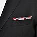 Shlax&Wing Checked Gray Grey Silver Red Crimson Handkerchief Mens Ties