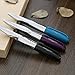 Faber Castell N'ice Ballpoint Pen, Plum/Chrome (FC149509)