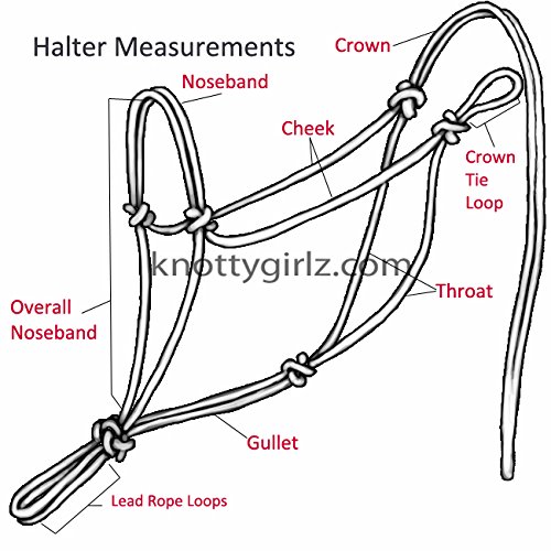 Horse Rope Training Halter 4 Knot from 1/4" Stiff Polyester Halter