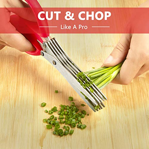 Herb Scissors, Kitchen Shears, Besiva 5 Blades Stainless Steel Multipurpose Vegetable Scissors with Cleaning Brush, Ideal for Snipping Herbs, Office Shredding Paper, Art Handmade Papercut V6
